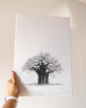 Baobab Tree on Canvas
