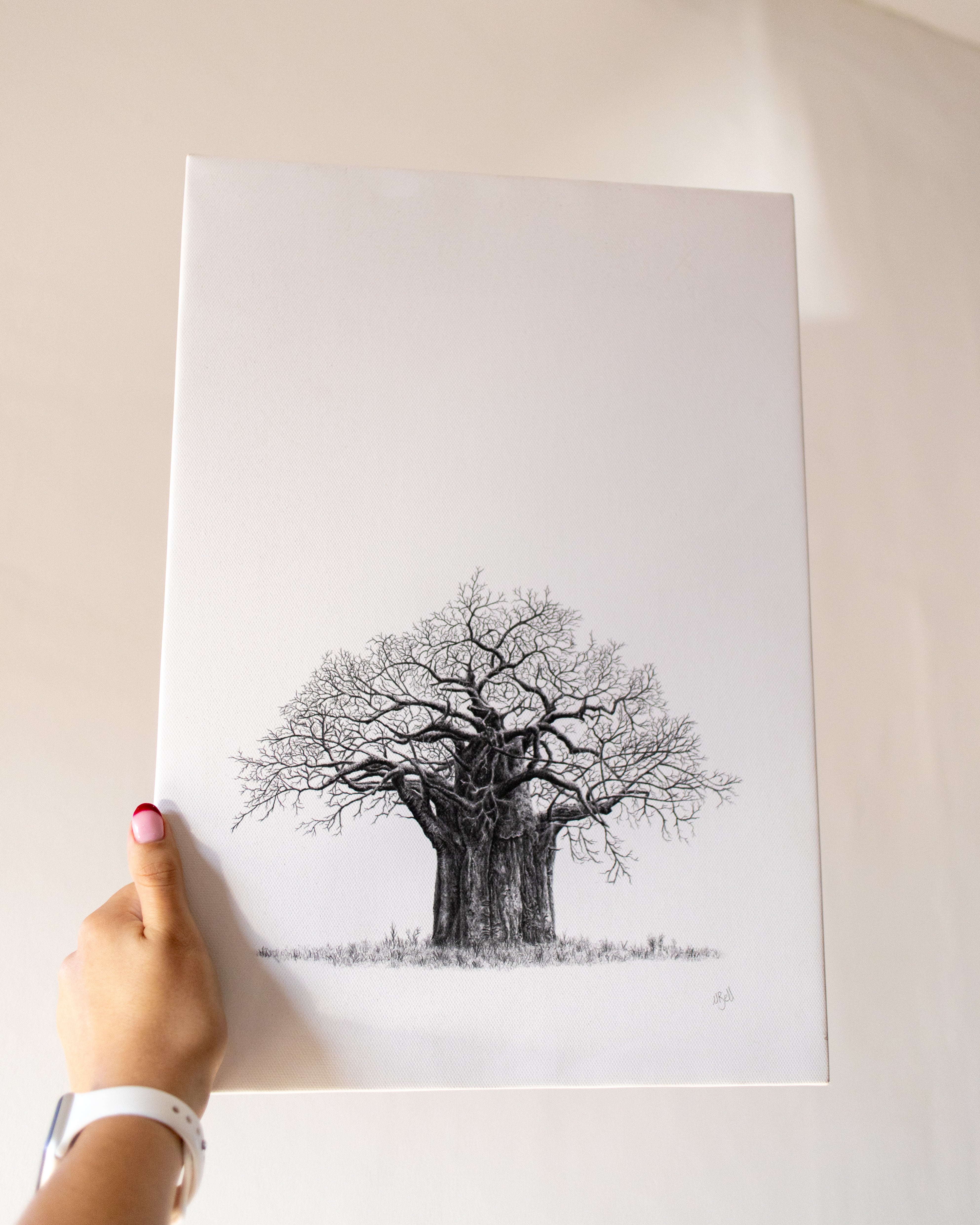 Baobab Tree on Canvas