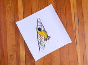 Southern Masked Weaver (SMW) on Rolled Canvas