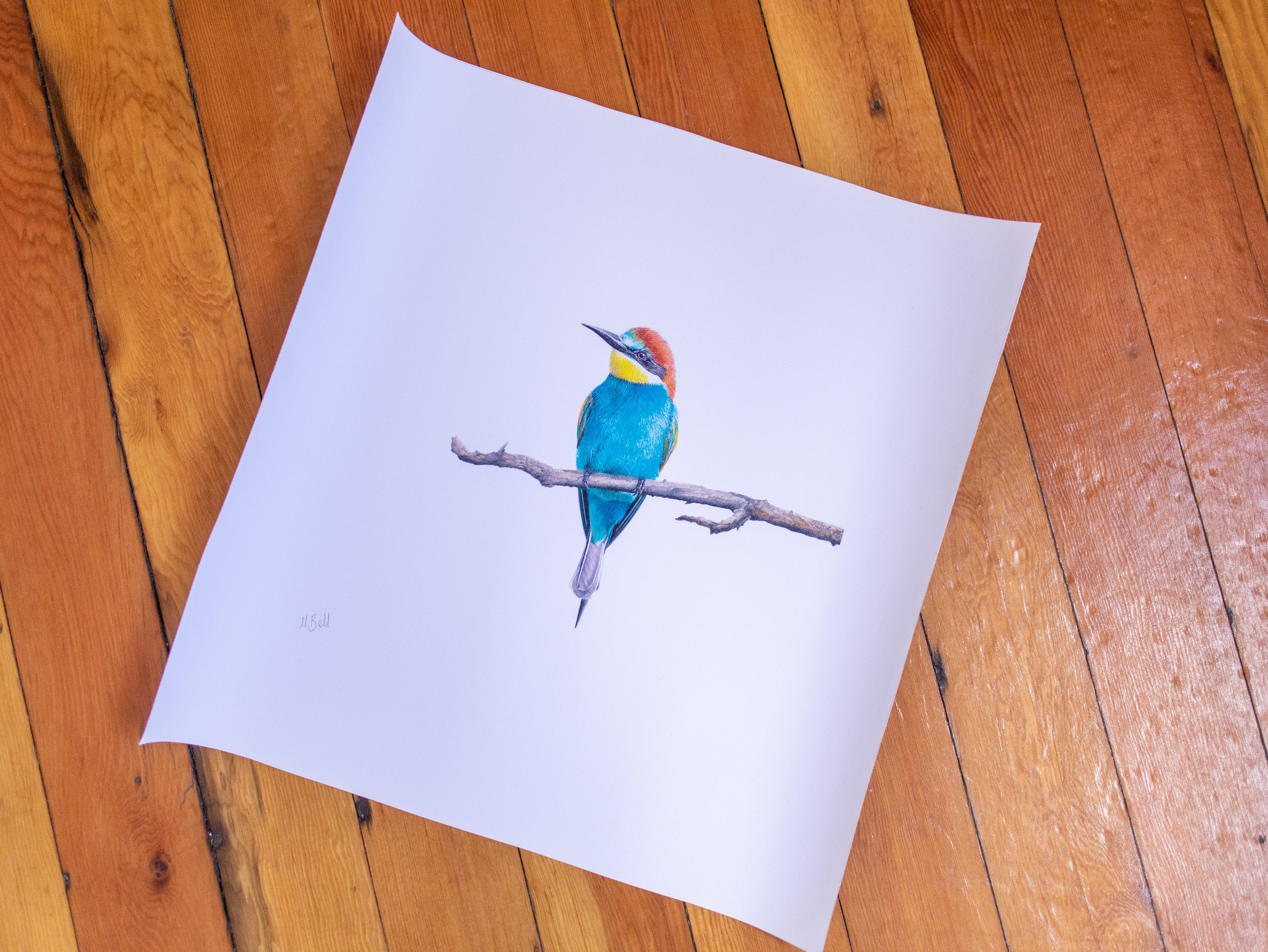 European Bee Eater (EBE2) on Rolled Canvas