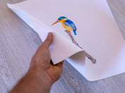 Malachite Kingfisher (MKF3) on Rolled Canvas