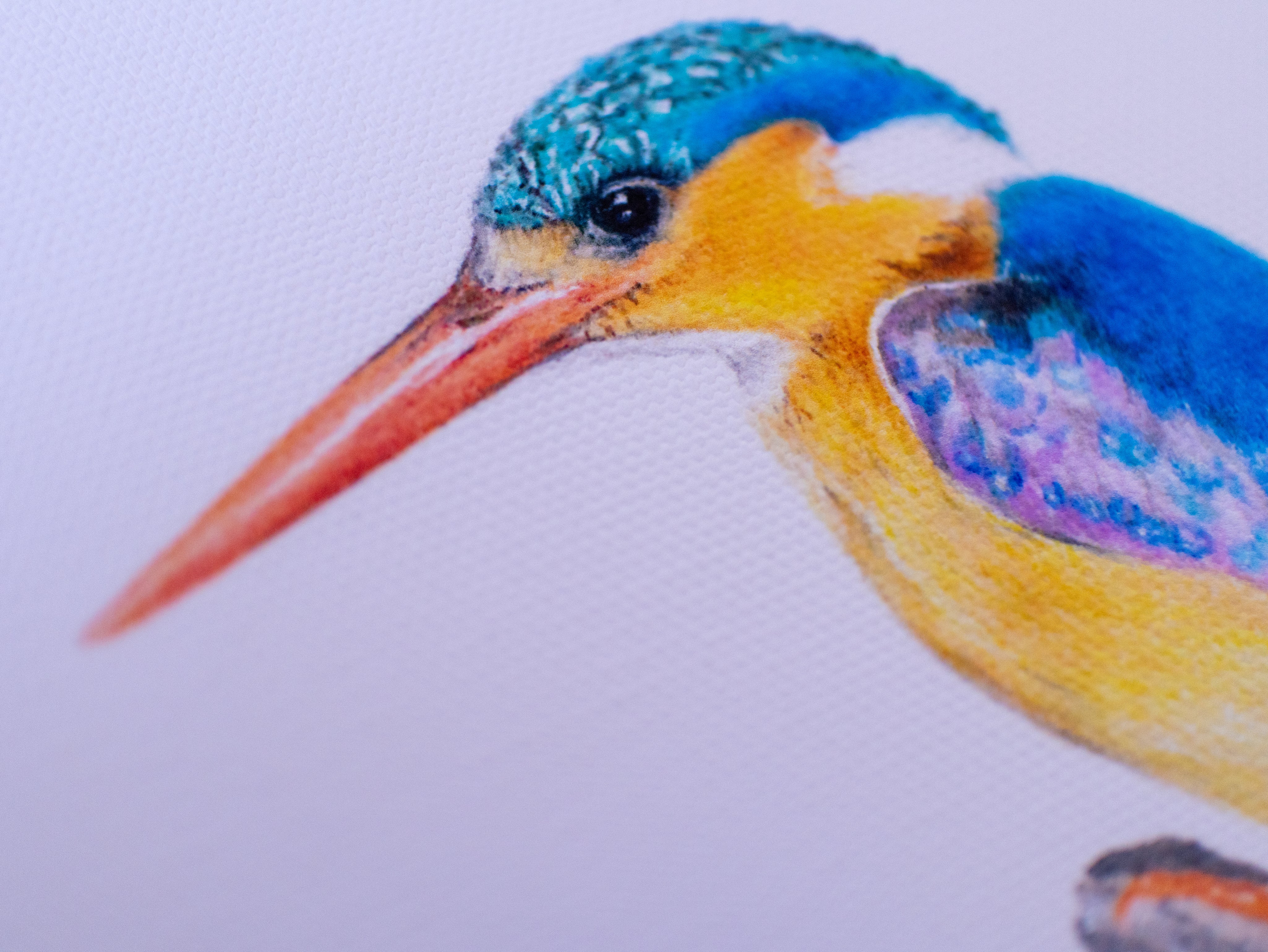 Malachite Kingfisher (MKF3) on Rolled Canvas