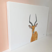 Male Impala with large horns canvas artwork by Matthew Bell