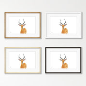 Impala Male - IMP1