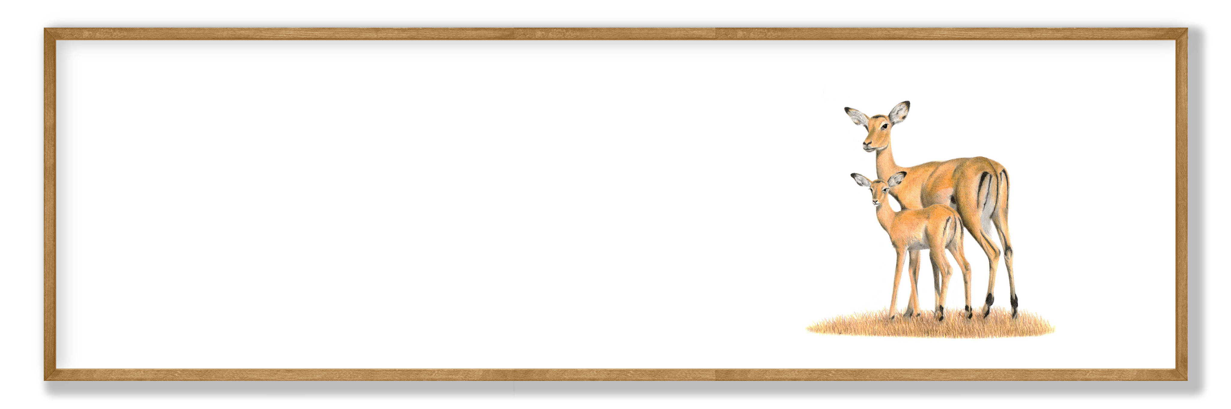 IMP2-01.png