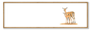 Impala Panorama