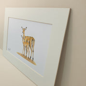 Mother and baby impala family pencil artwork by wildlife artist Matthew Bell