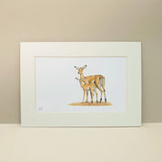 Mother and baby impala family pencil artwork by wildlife artist Matthew Bell