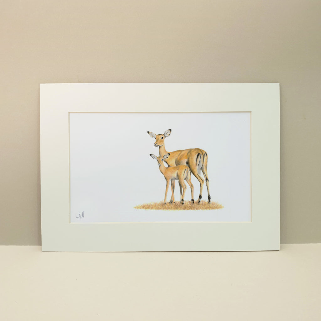 Mother and baby impala family pencil artwork by wildlife artist Matthew Bell