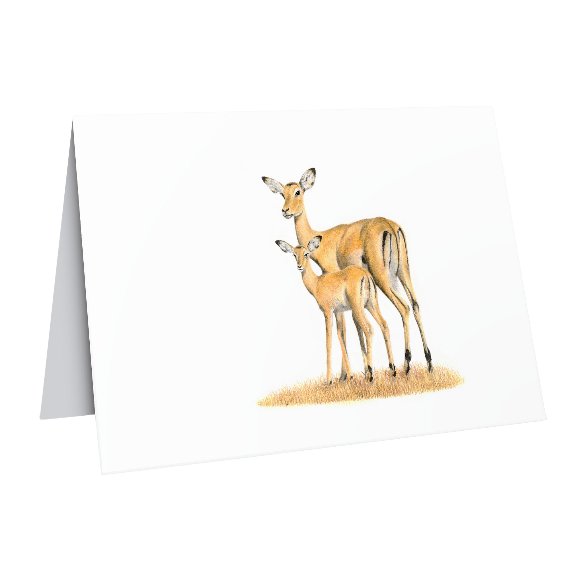 Impalas Greeting Card - IMP2