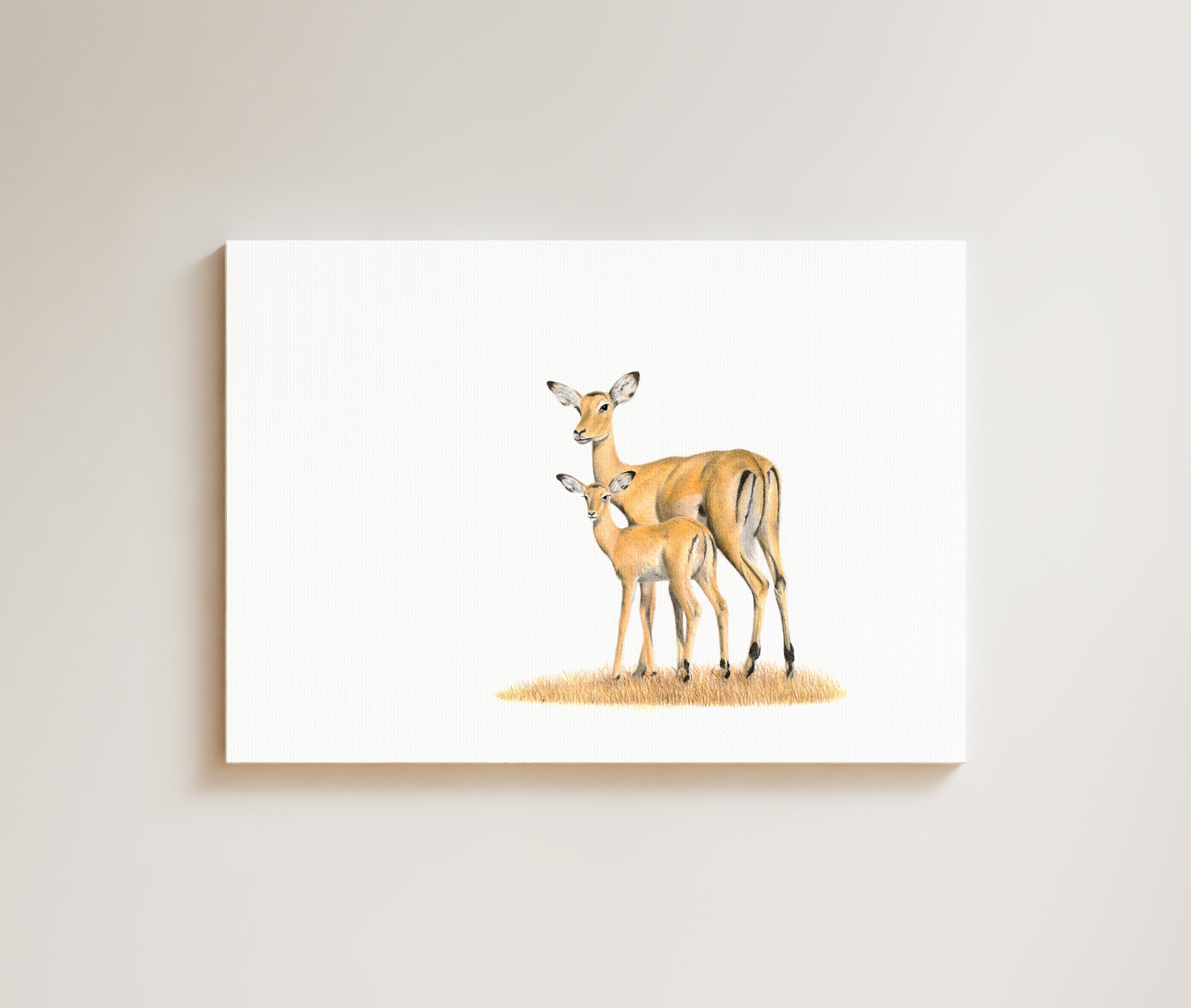 Impalas drawing on canvas by South African wildlife artist Matthew Bell