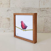 Kiaat wood framed miniature artwork of a Jameson's Firefinch, part of wildlife artist Matthew Bell's birds of South Africa gallery