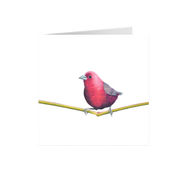 Jameson’s Firefinch Greeting Card - JF