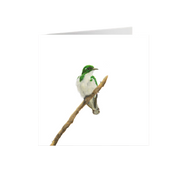 Klaas’s Cuckoo Greeting Card - KC