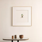 Klaas's Cuckoo - The Original