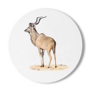 Kudu Wooden Coaster - KD2