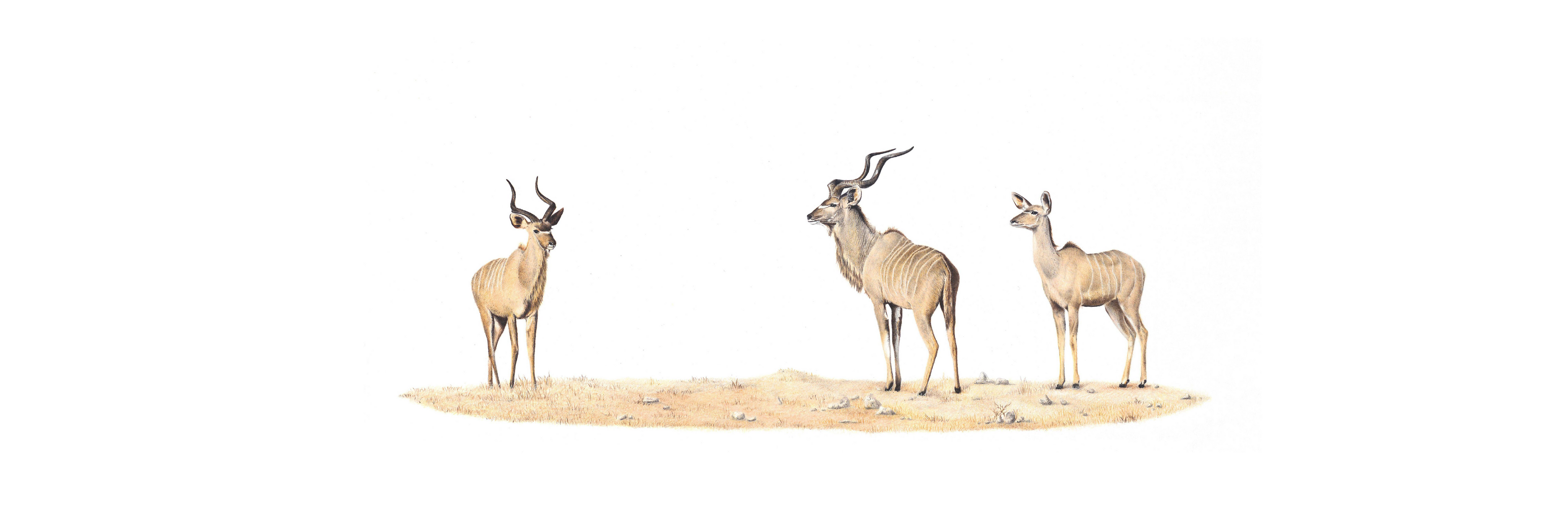 Kudus Panorama