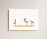 Kudus drawing on canvas by South African wildlife artist Matthew Bell