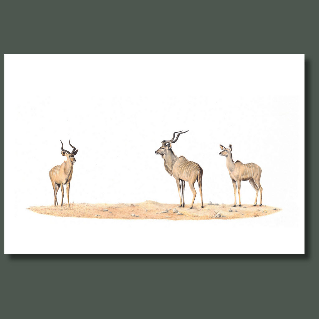 Kudu family in the bushveld canvas artwork