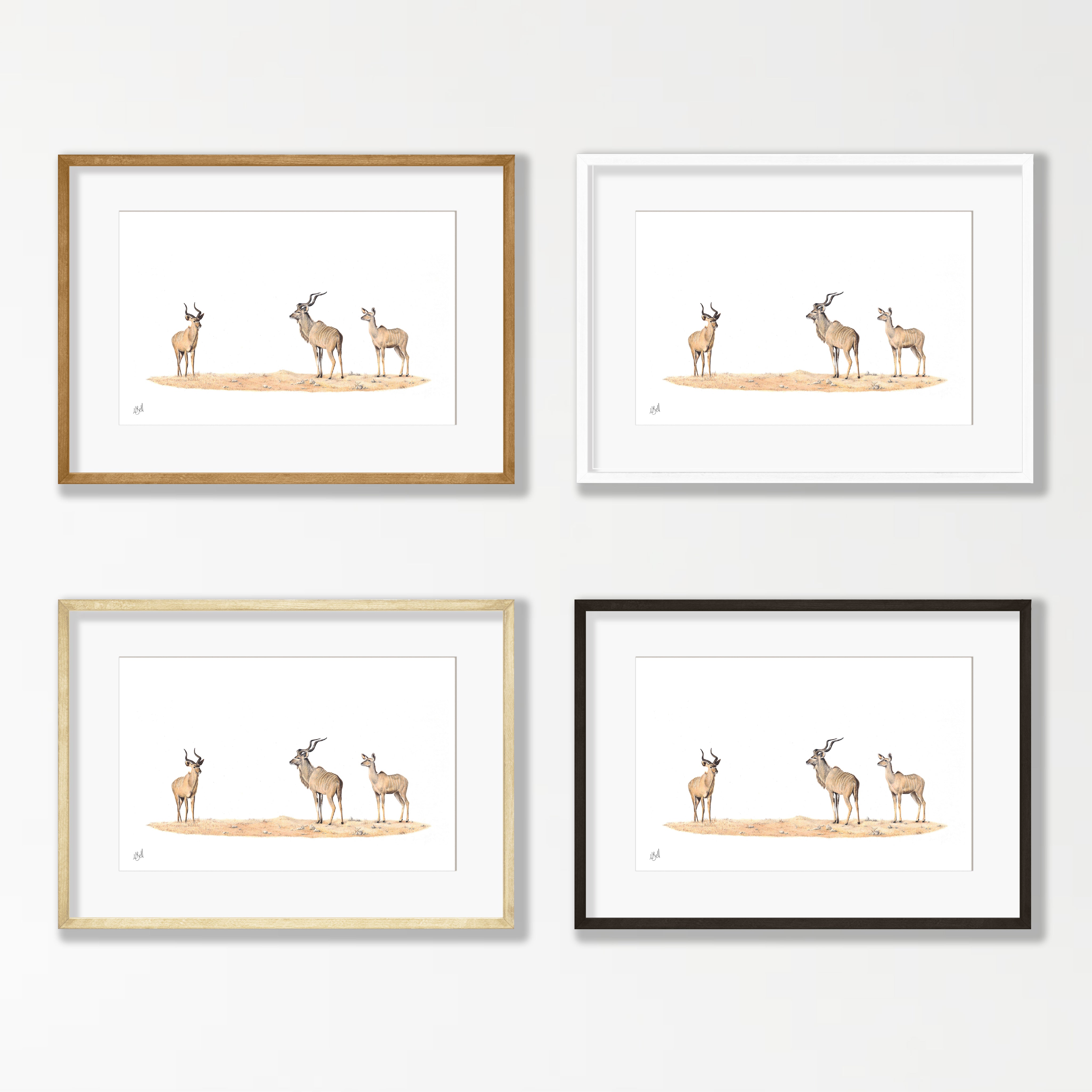 Kudus - KD2
