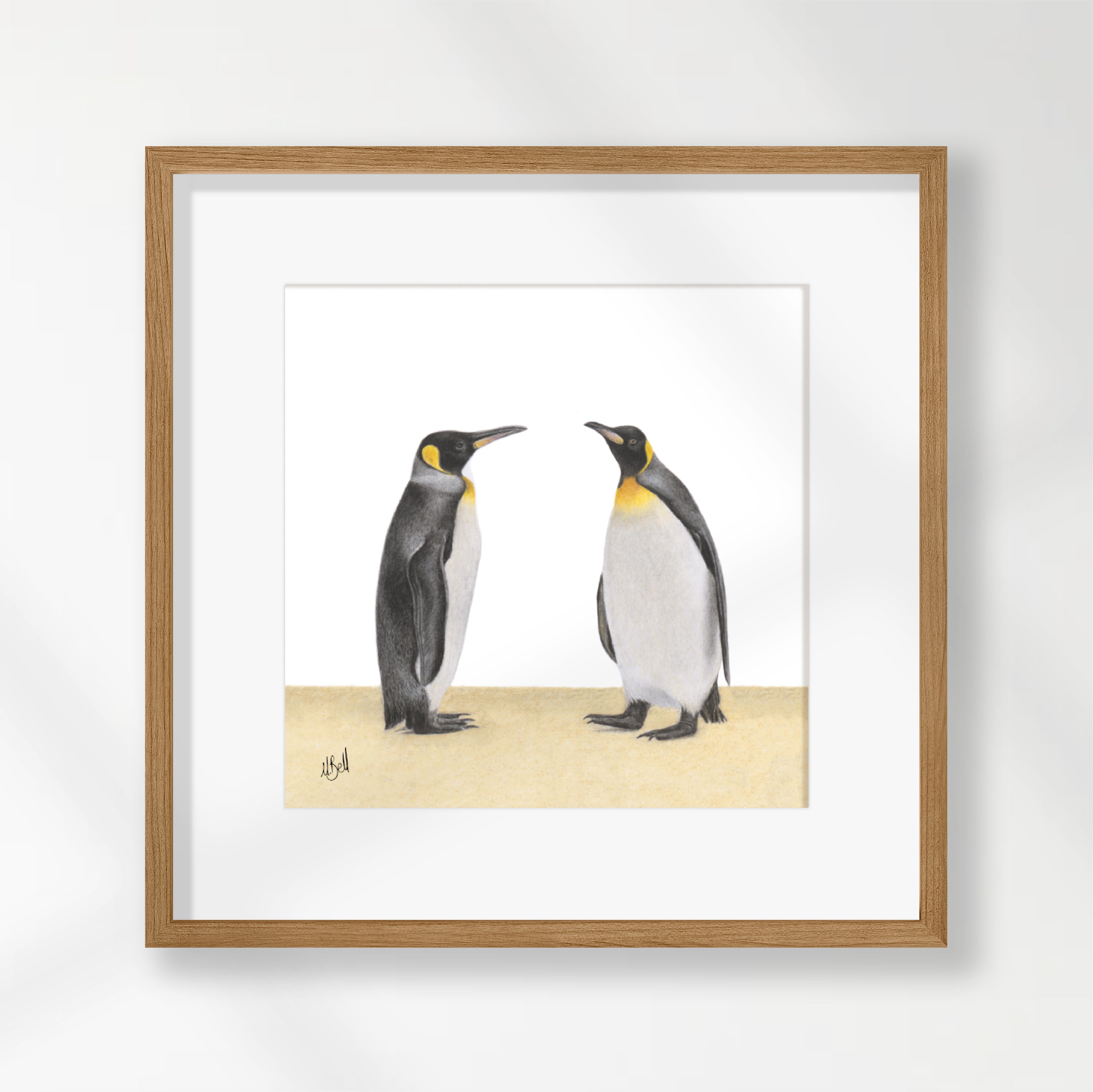 King Penguins - KPN1