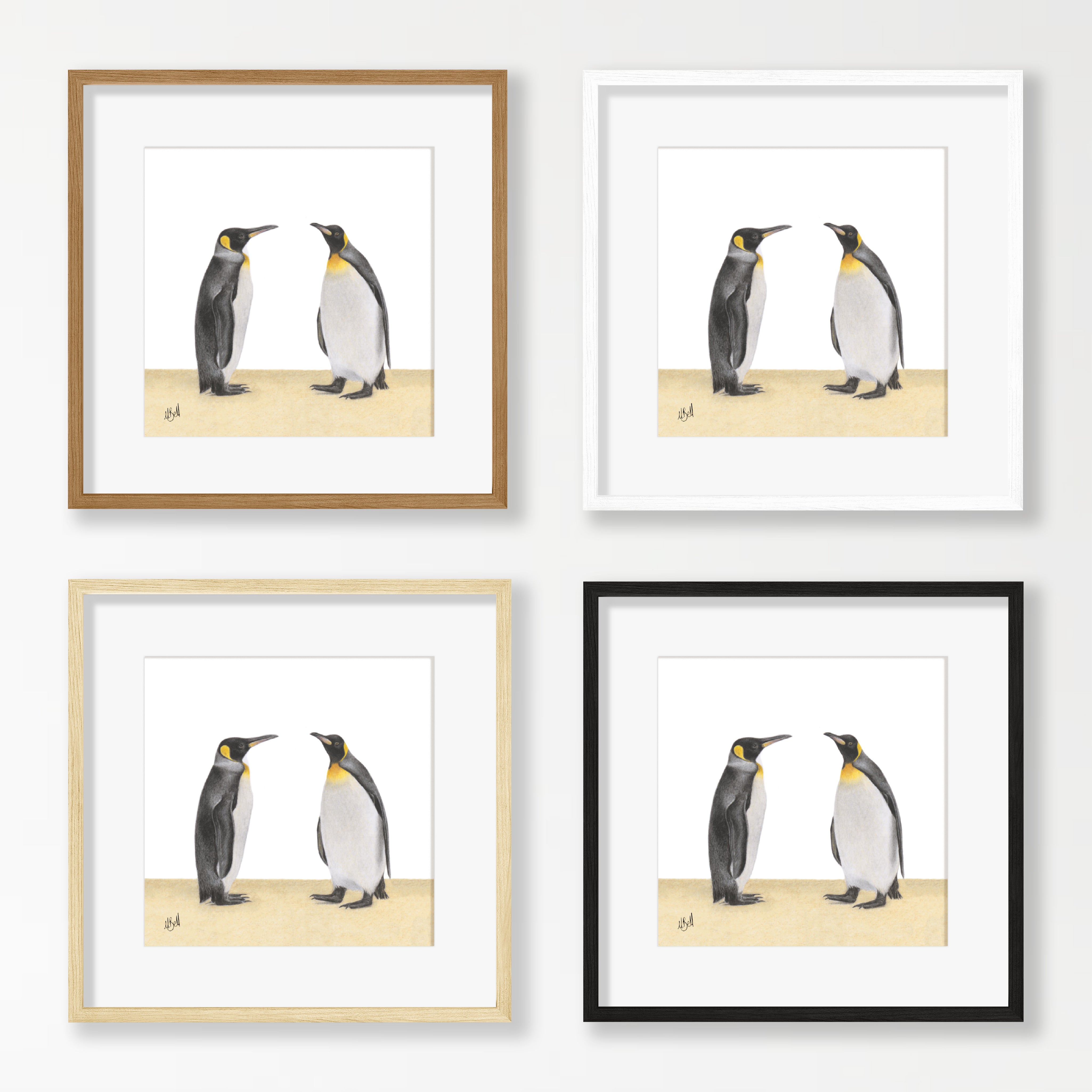 King Penguins - KPN1