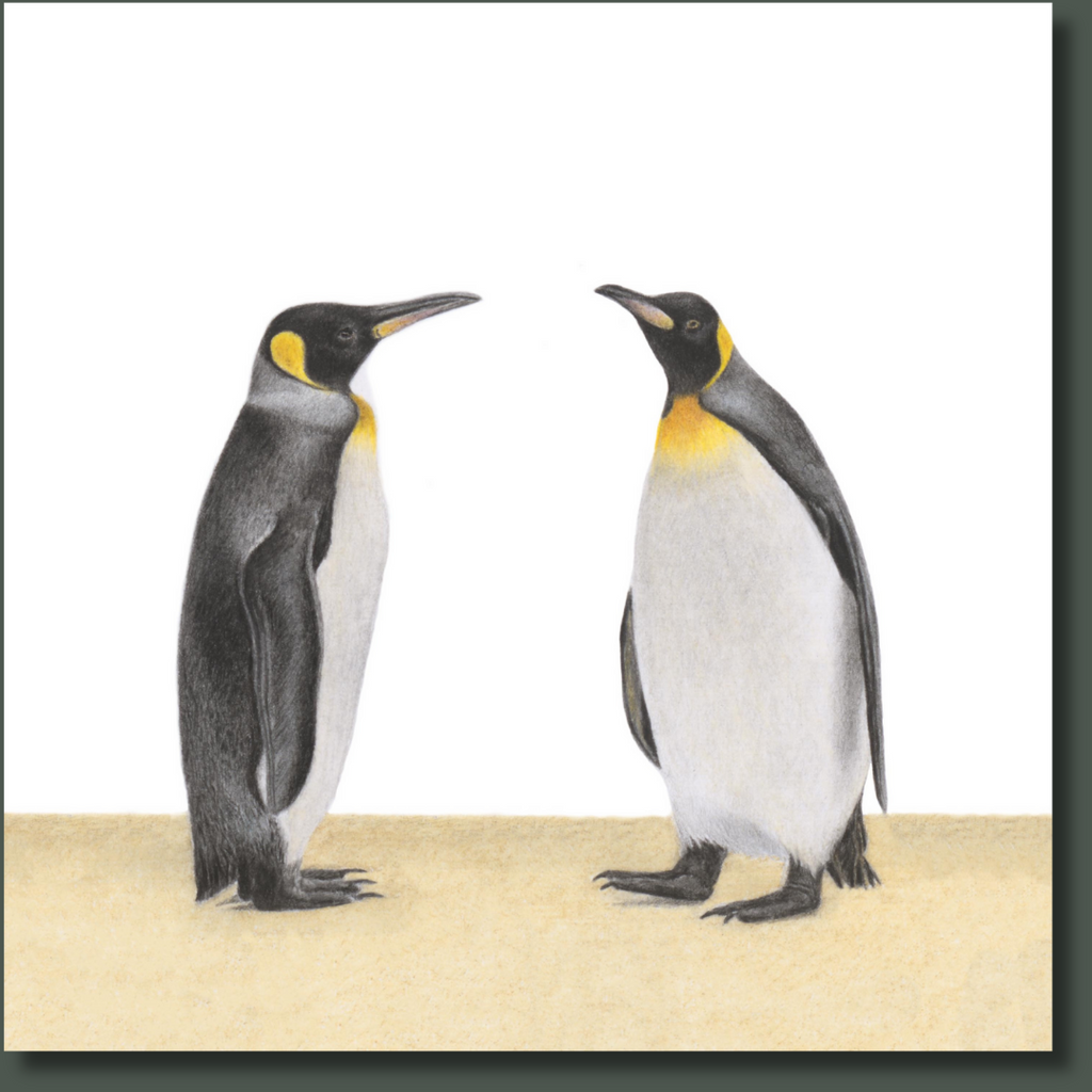 Stretched canvas South African bird artwork of a pair of King Penguins