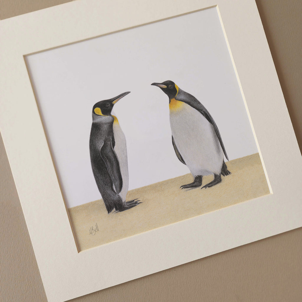 King Penguin pair bird artwork drawing