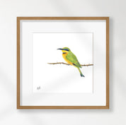 Little Bee Eater - LBE1