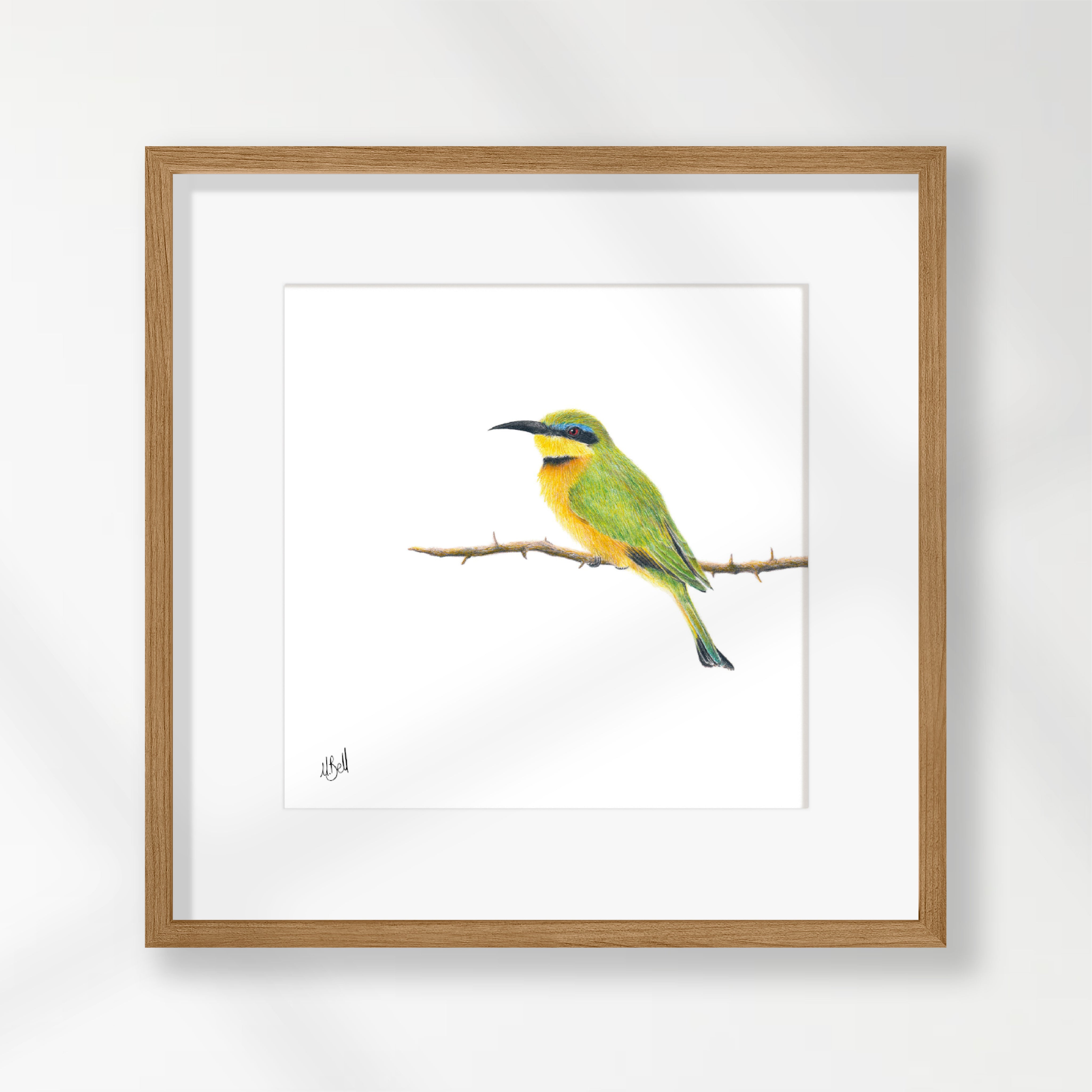 Little Bee Eater - LBE1
