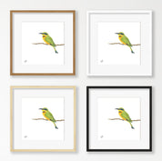 Little Bee Eater - LBE1