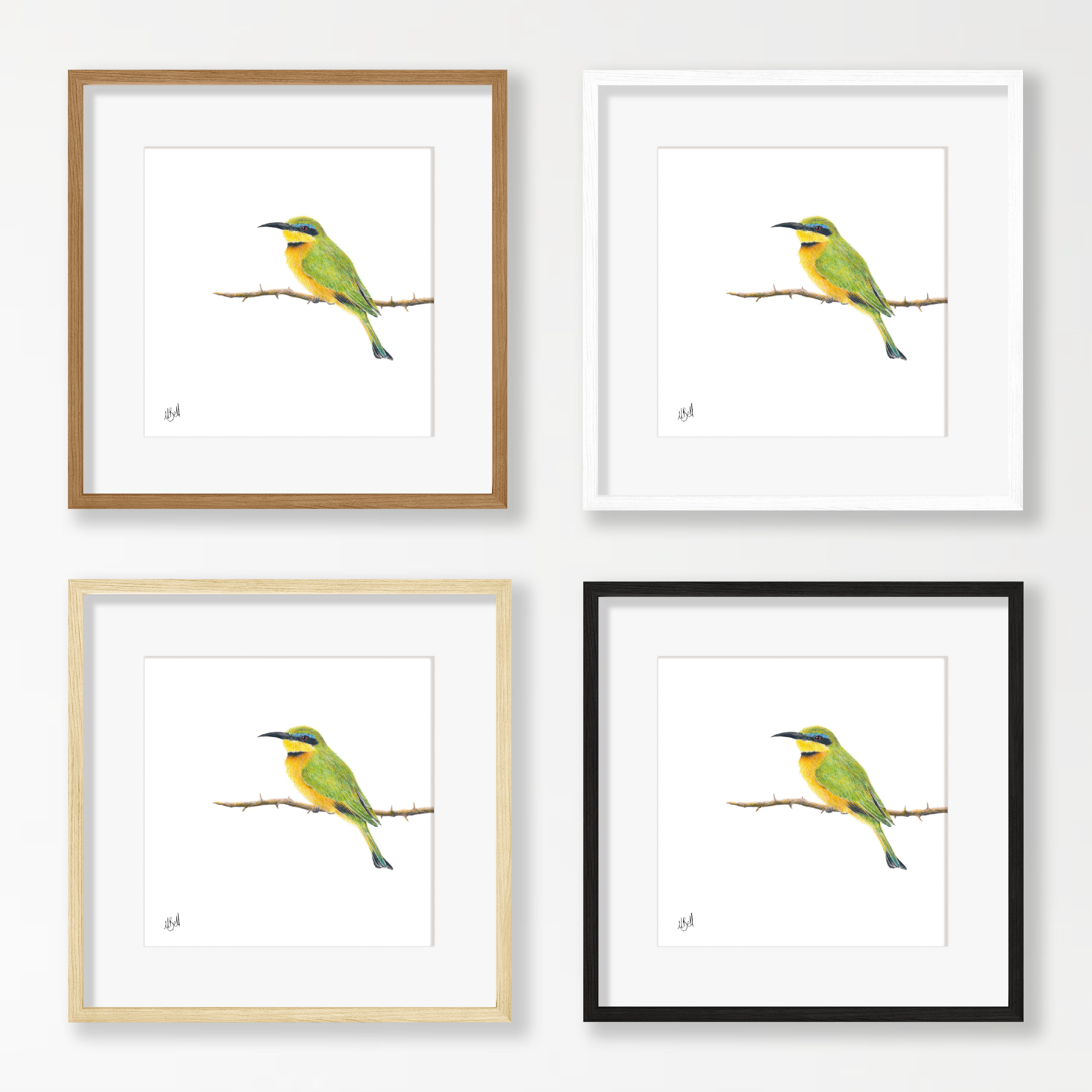 Little Bee Eater - LBE1