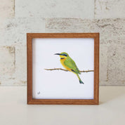 Kiaat wood framed miniature artwork of a Little Bee Eater, part of wildlife artist Matthew Bell's birds of South Africa gallery