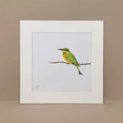 Little Bee Eater on the end of a branch drawing