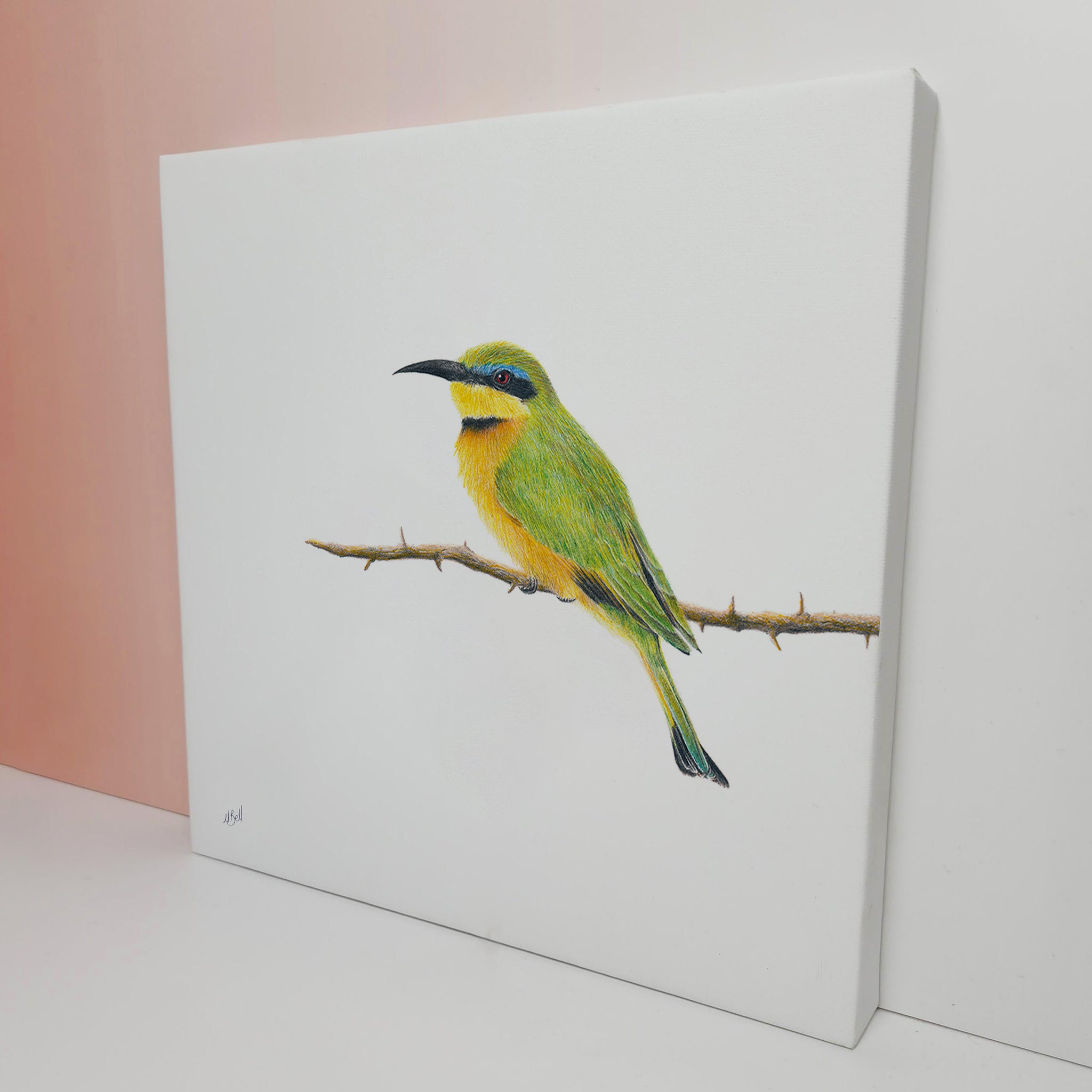 Little Bee Eater artwork printed on canvas and stretched by wildlife artist Matthew Bell