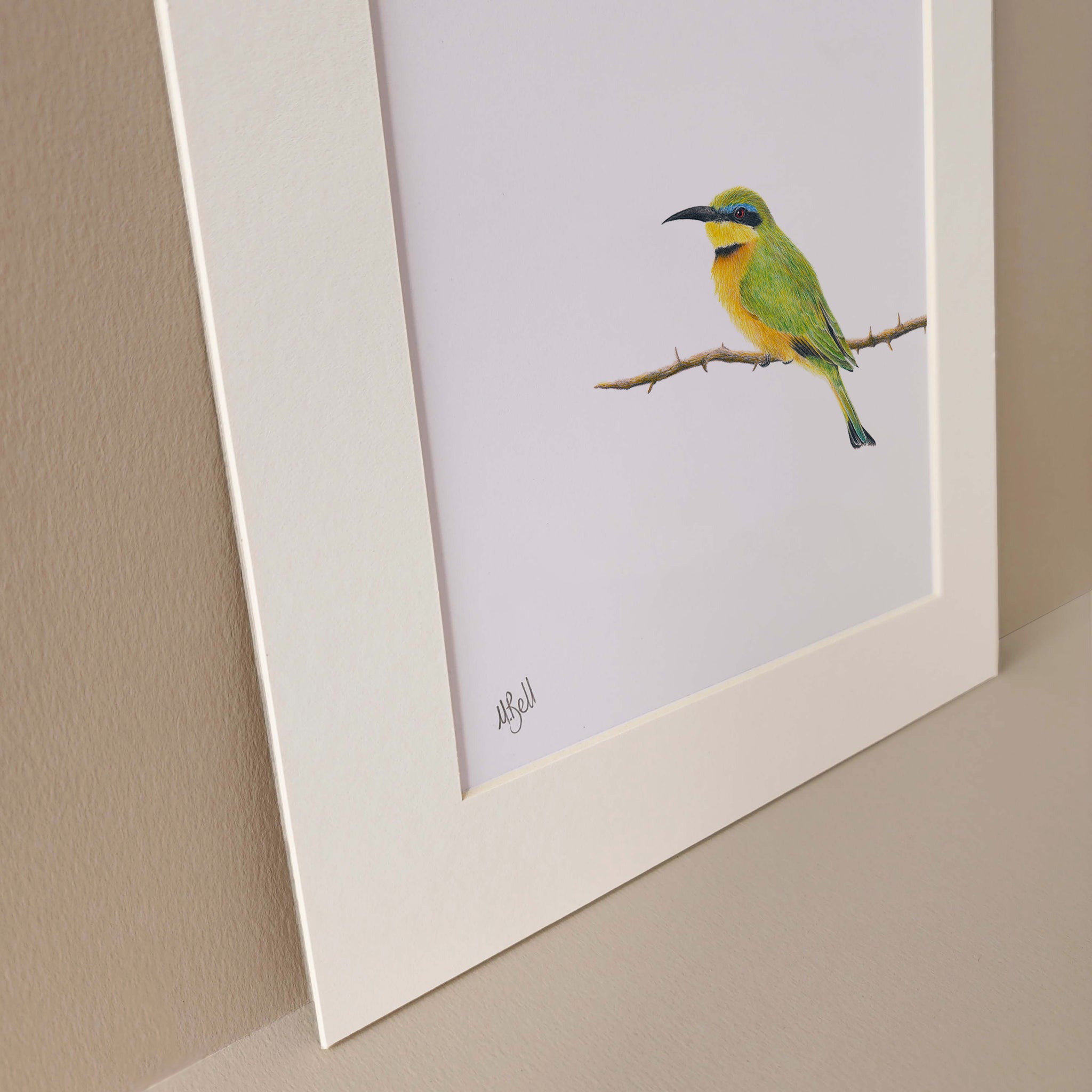 Little Bee Eater on the end of a branch drawing
