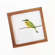 Kiaat wood framed miniature artwork of a Little Bee Eater, part of wildlife artist Matthew Bell's birds of South Africa gallery