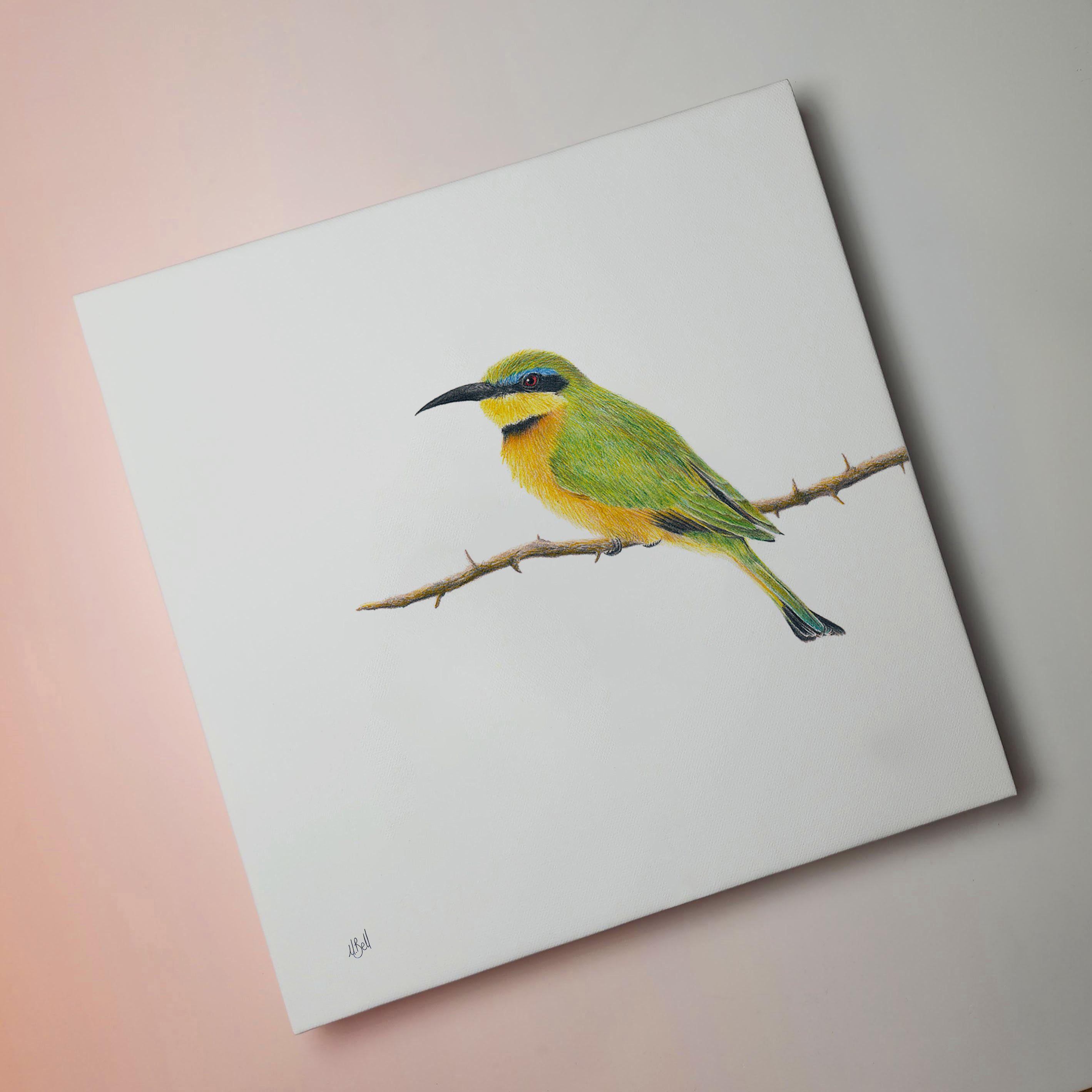 Little Bee Eater artwork printed on canvas and stretched by wildlife artist Matthew Bell