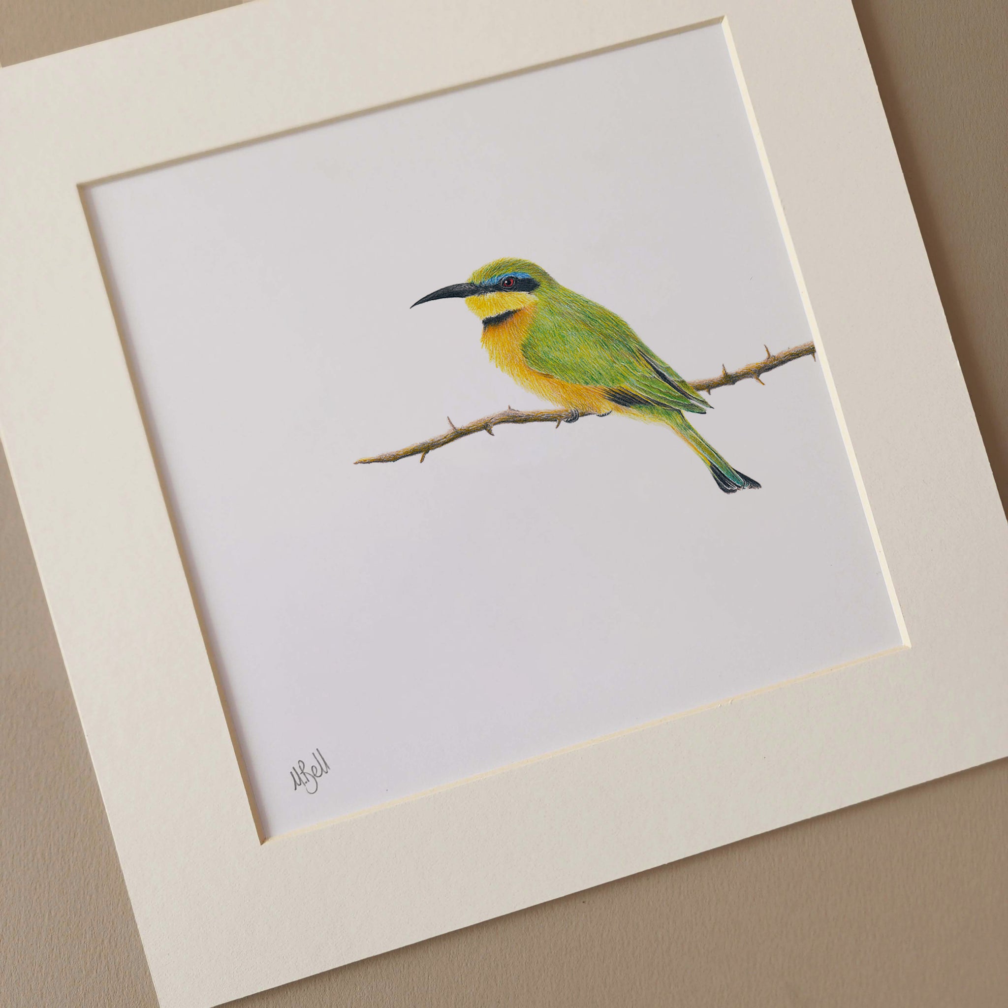 Little Bee Eater on the end of a branch drawing