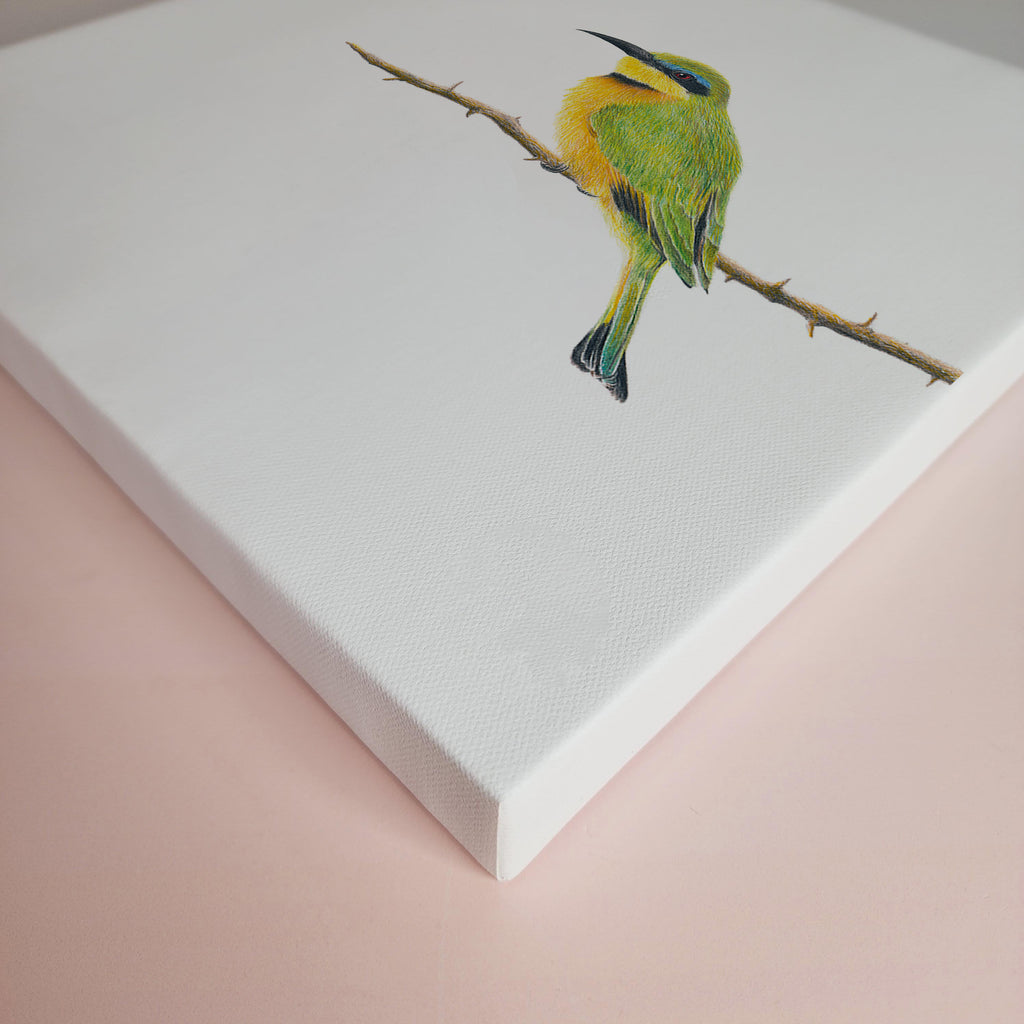 Little Bee Eater artwork printed on canvas and stretched by wildlife artist Matthew Bell