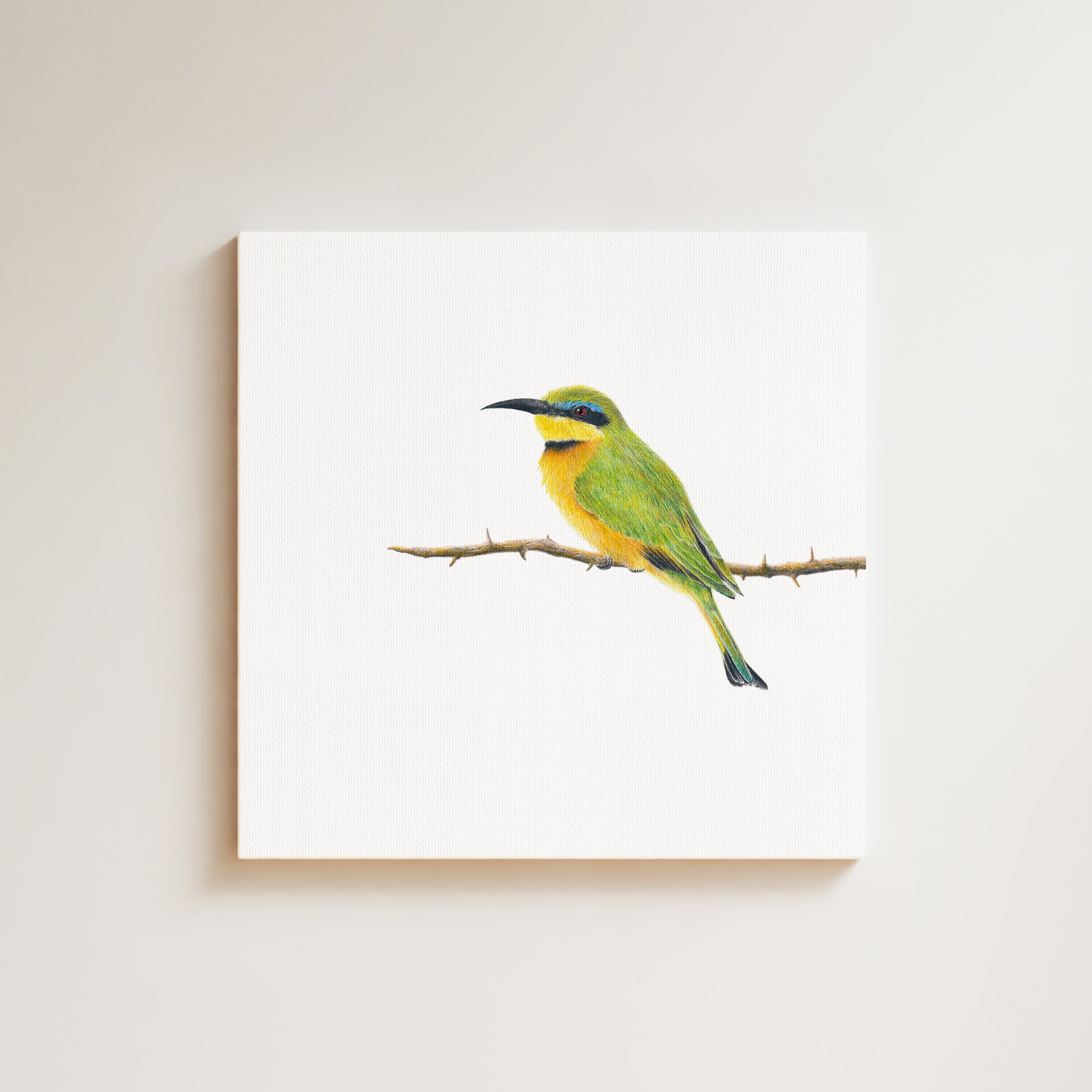 Little Bee Eater drawing on canvas by South African wildlife artist Matthew Bell
