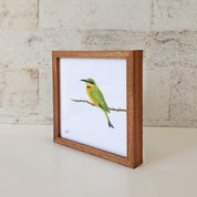 Kiaat wood framed miniature artwork of a Little Bee Eater, part of wildlife artist Matthew Bell's birds of South Africa gallery