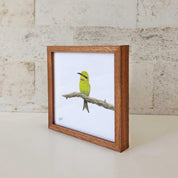 Kiaat wood framed miniature artwork of a Little Bee Eater, part of wildlife artist Matthew Bell's birds of South Africa gallery