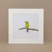 Little Bee Eater in the Kalahari Game Reserve pencil artwork