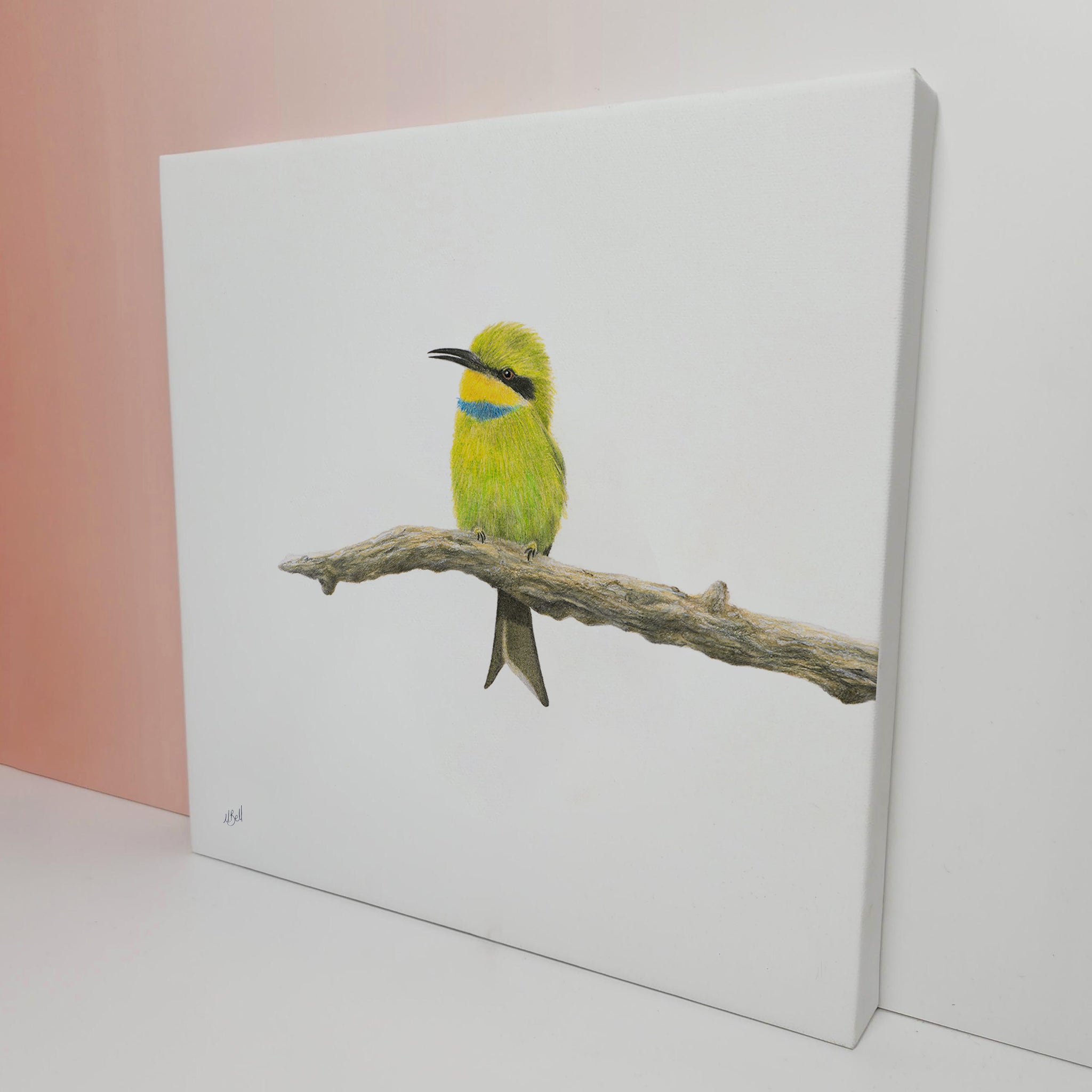 Little Bee Eater artwork printed on canvas and stretched by wildlife artist Matthew Bell