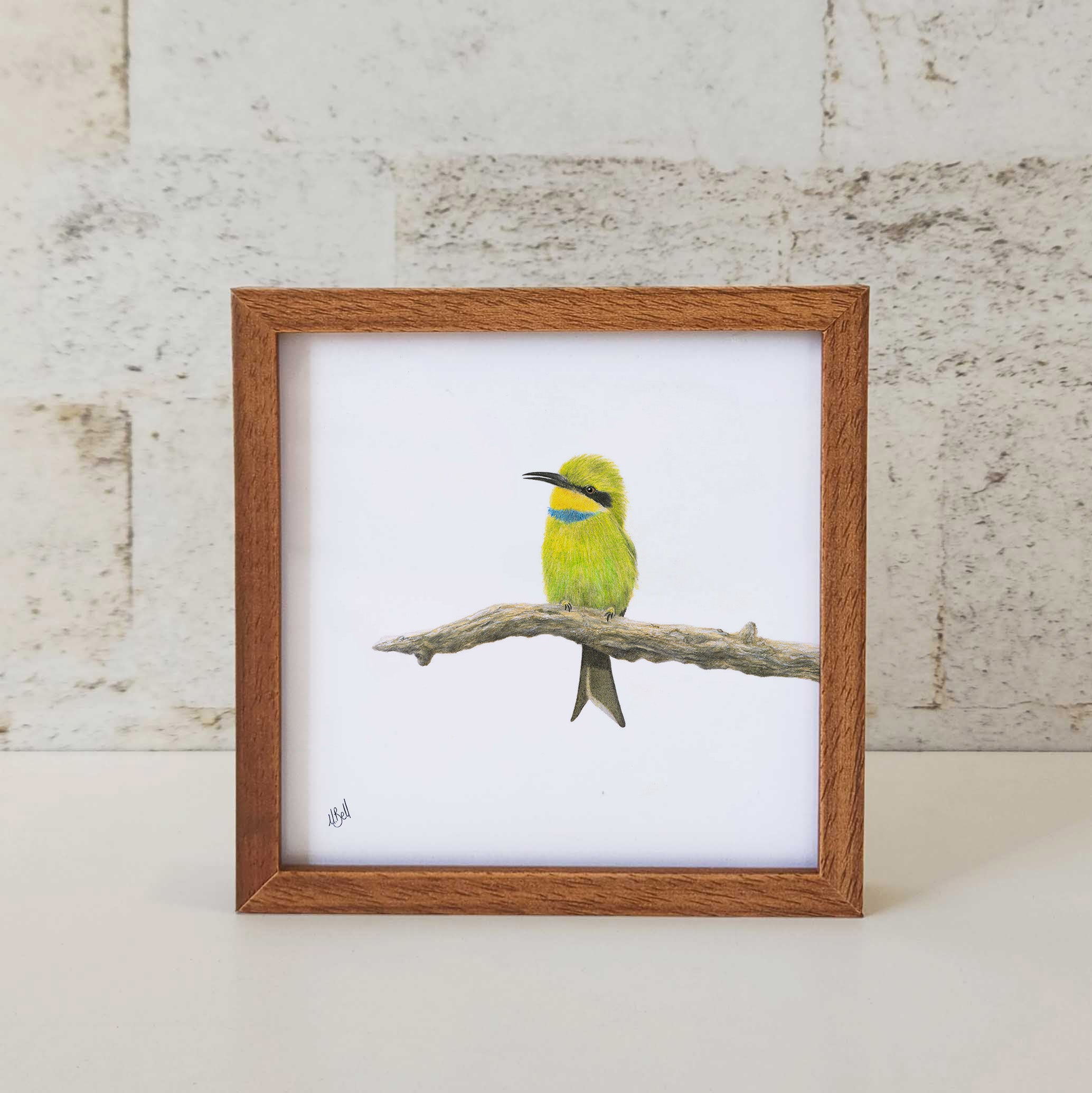 Kiaat wood framed miniature artwork of a Little Bee Eater, part of wildlife artist Matthew Bell's birds of South Africa gallery