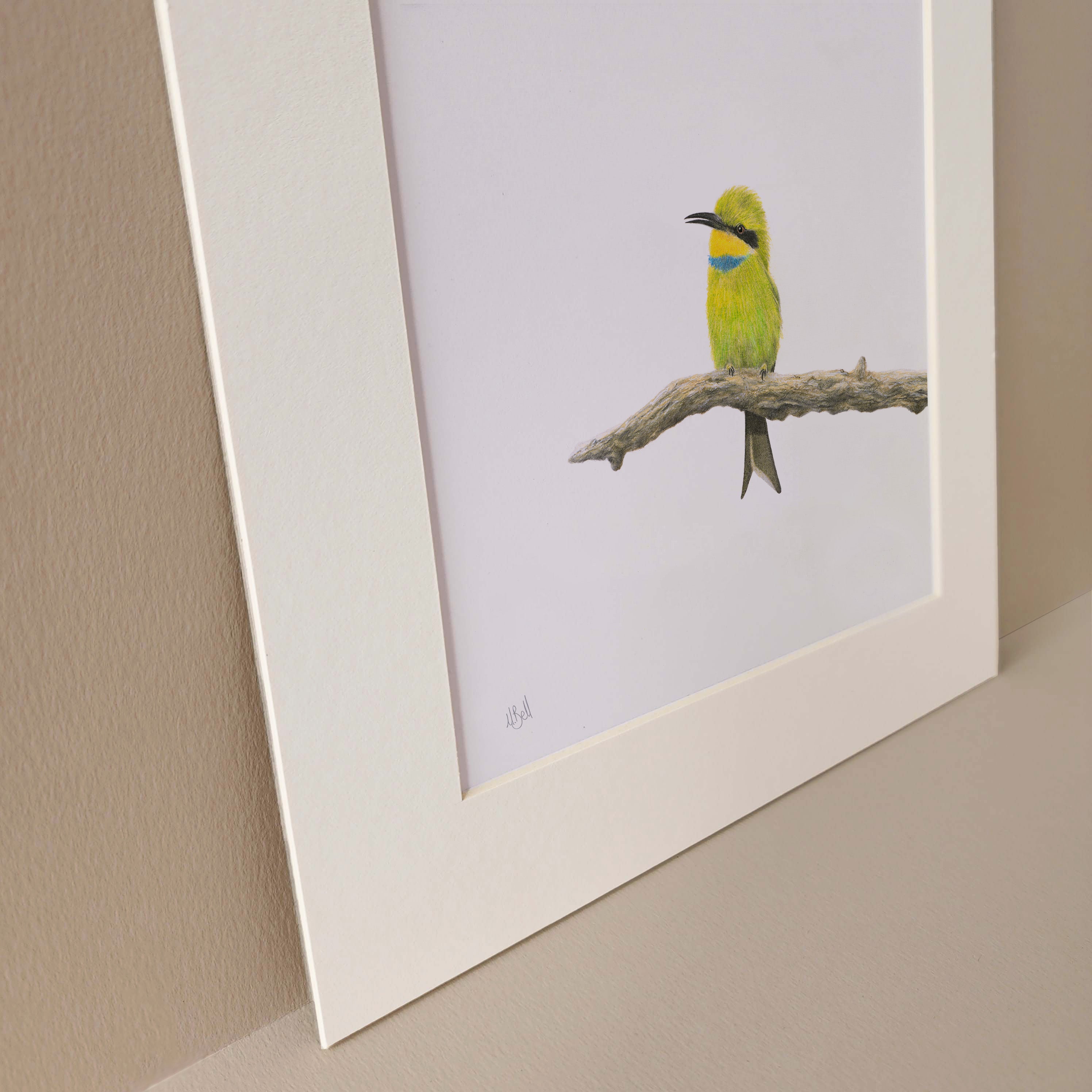 Little Bee Eater in the Kalahari Game Reserve pencil artwork