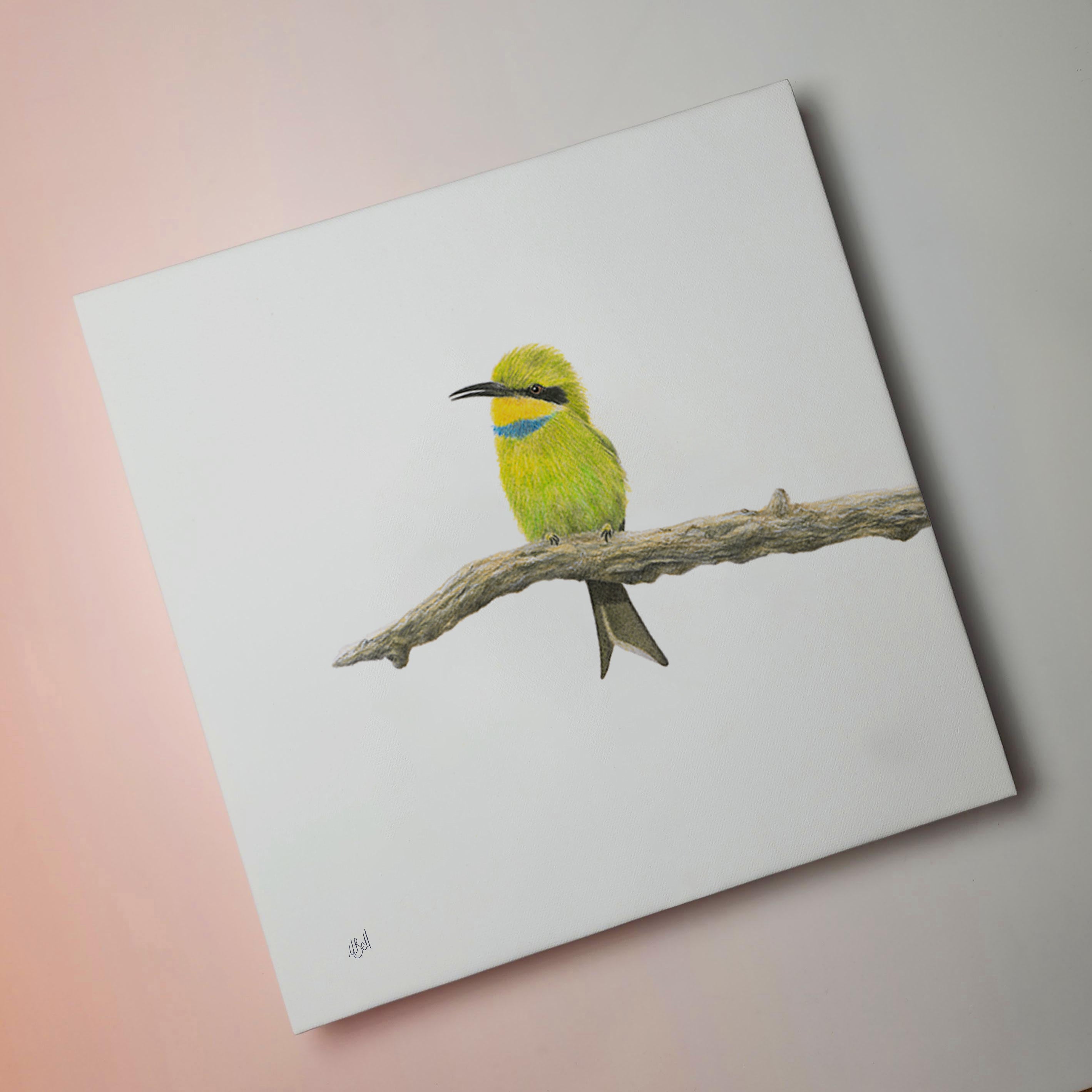 Little Bee Eater artwork printed on canvas and stretched by wildlife artist Matthew Bell