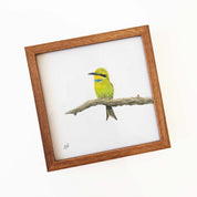 Kiaat wood framed miniature artwork of a Little Bee Eater, part of wildlife artist Matthew Bell's birds of South Africa gallery