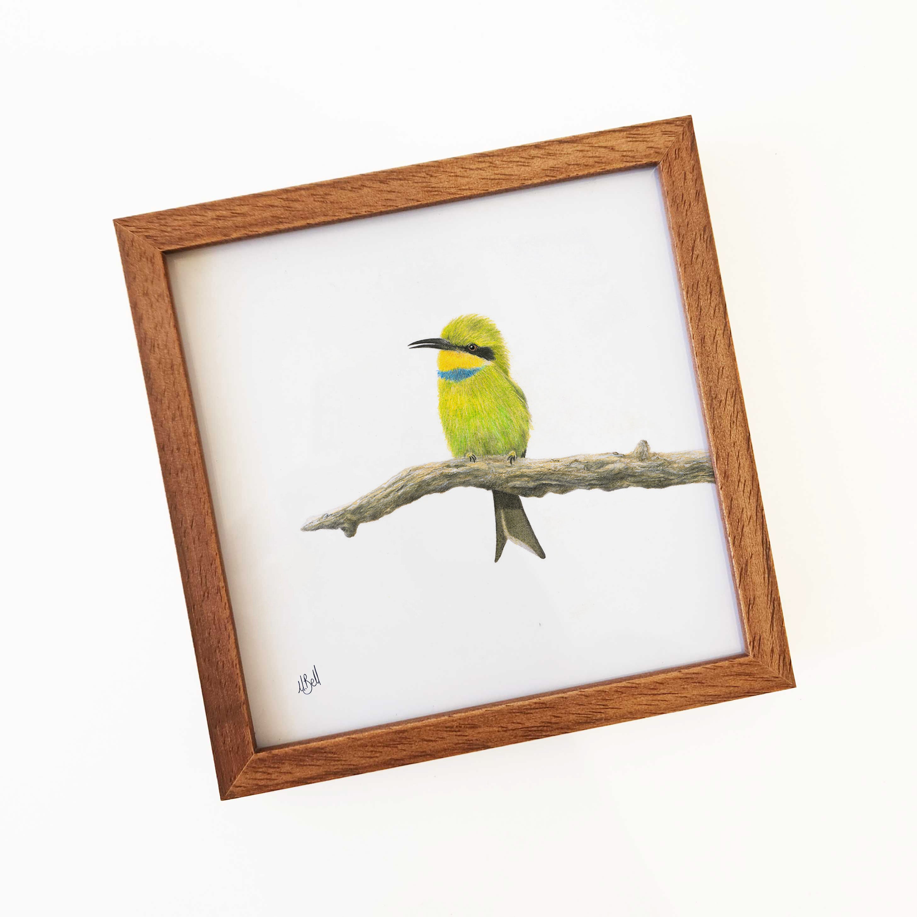 Kiaat wood framed miniature artwork of a Little Bee Eater, part of wildlife artist Matthew Bell's birds of South Africa gallery